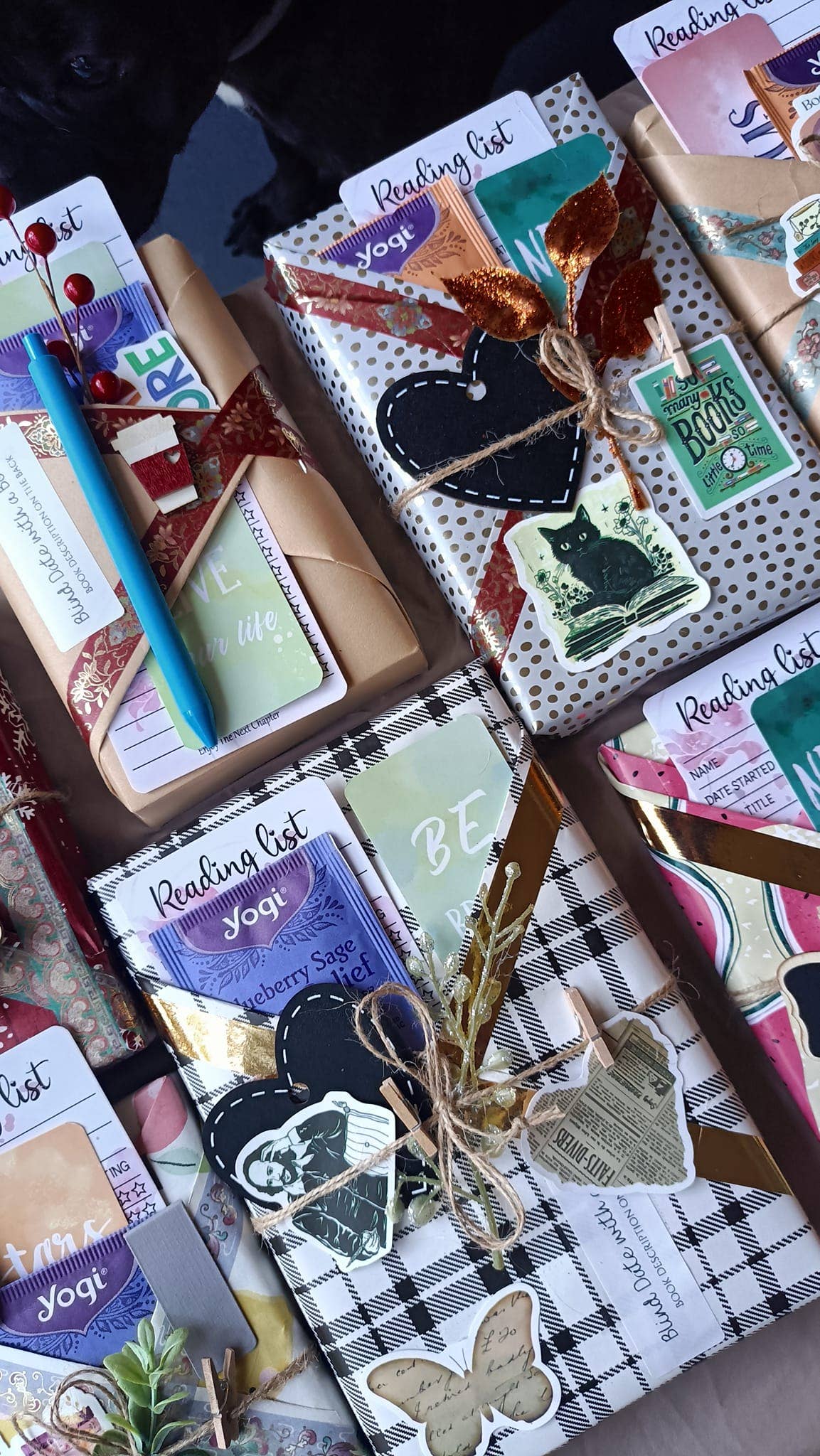 Blind Date with a Book ~ Book Lover ~Trending: Adult Chick Lit/Romance/Rom Com