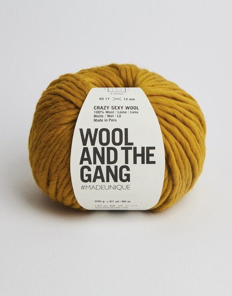 Wool and the Gang Crazy Sexy Wool