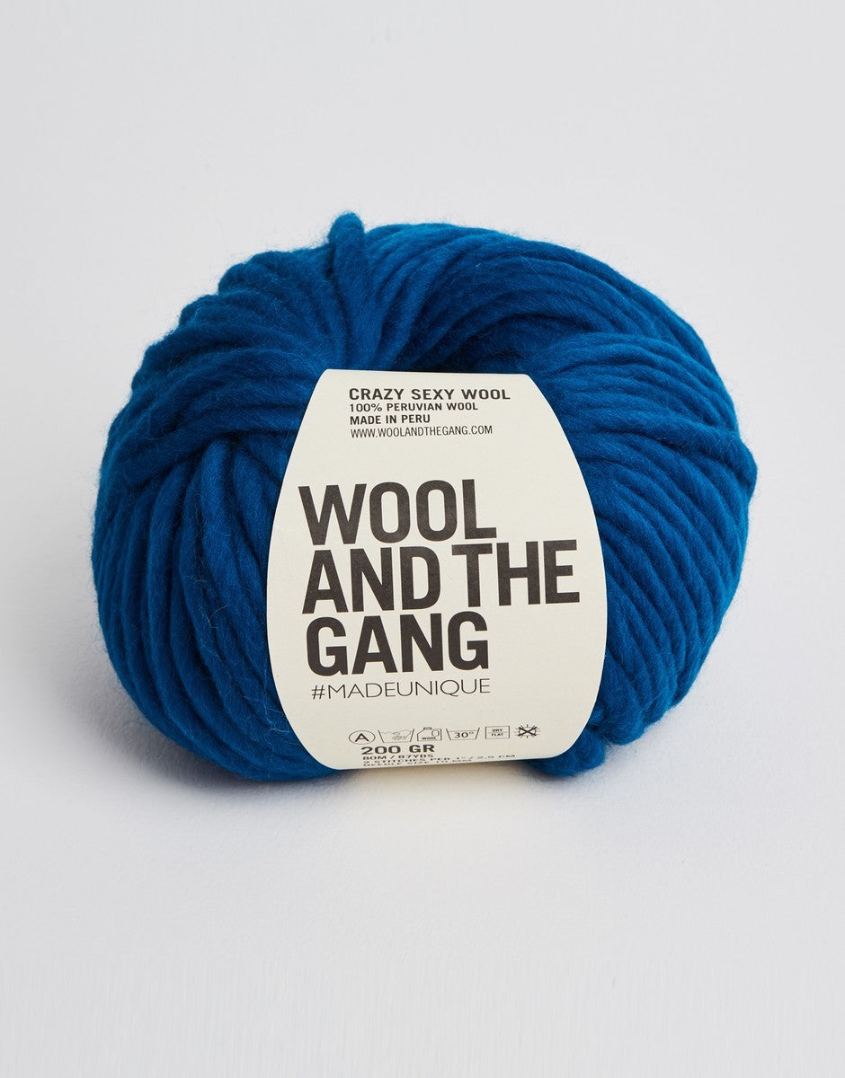 Wool and the Gang Crazy Sexy Wool
