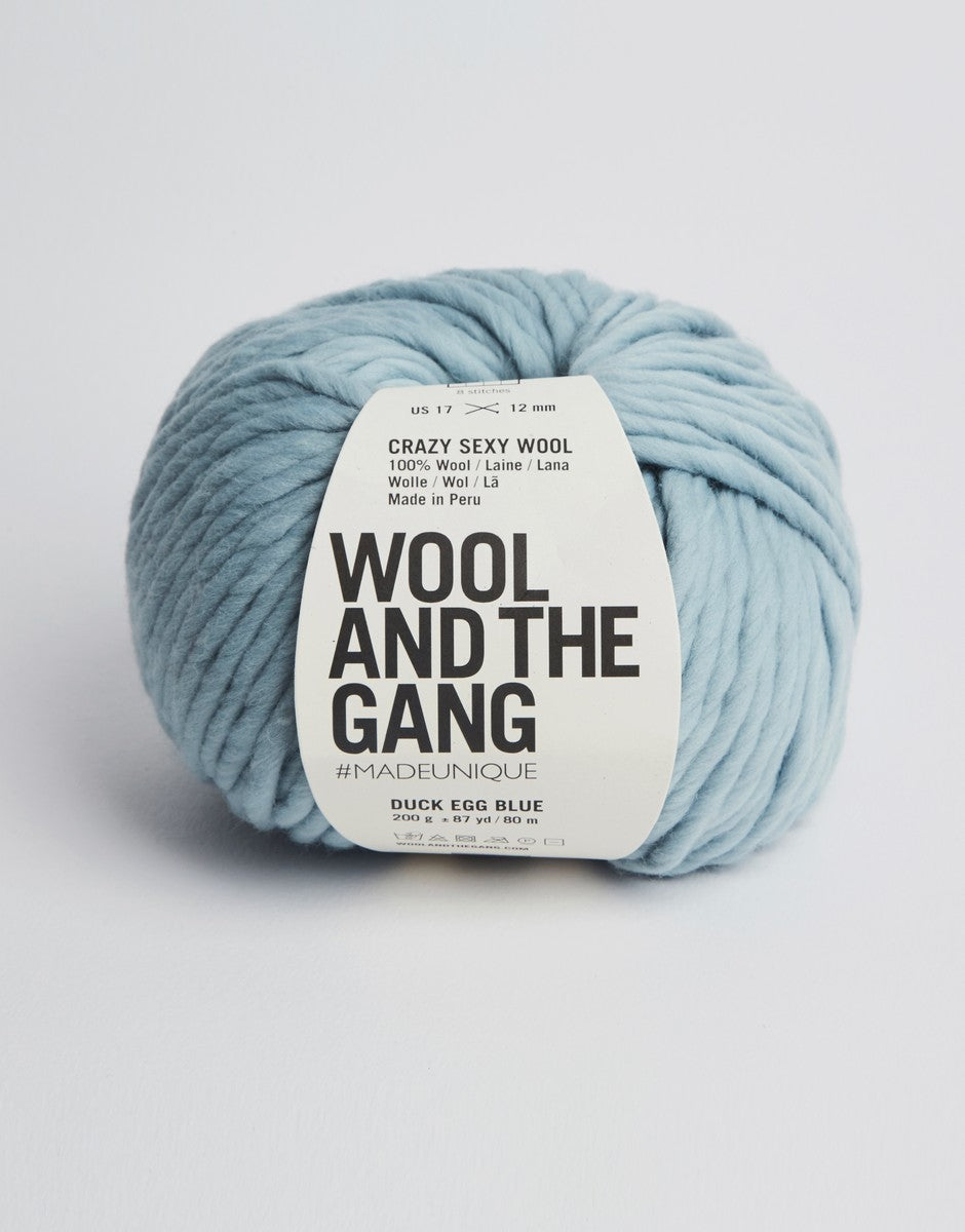 Wool and the Gang Crazy Sexy Wool