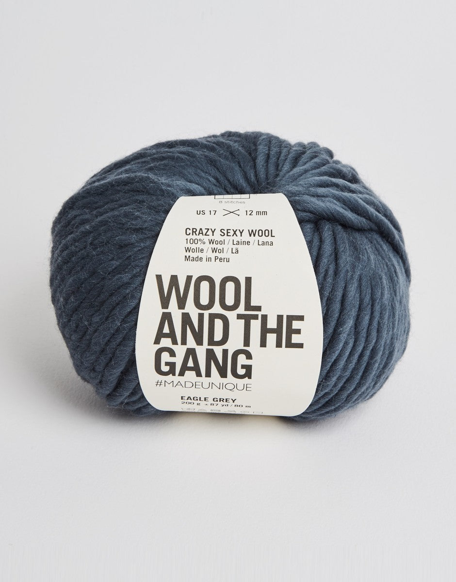 Wool and the Gang Crazy Sexy Wool