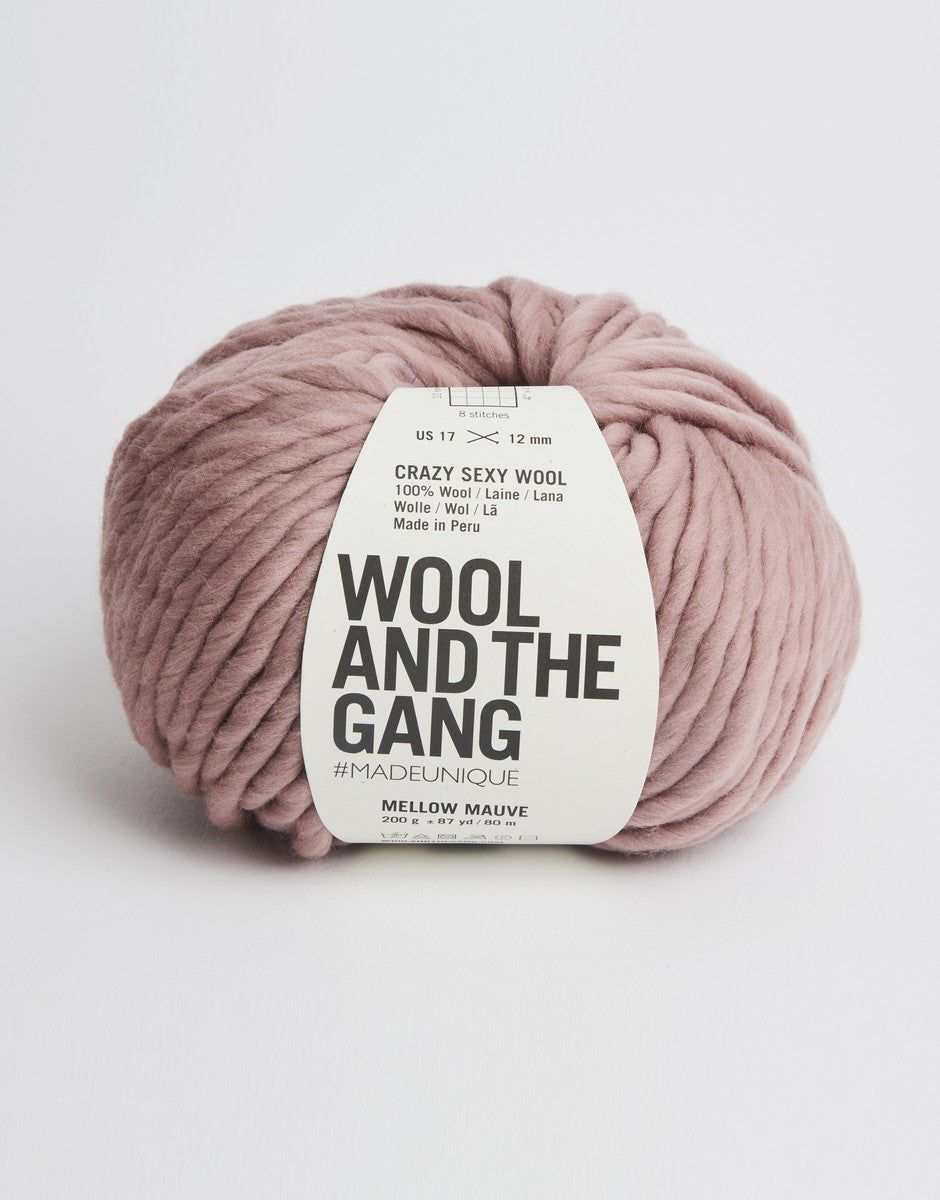 Wool and the Gang Crazy Sexy Wool