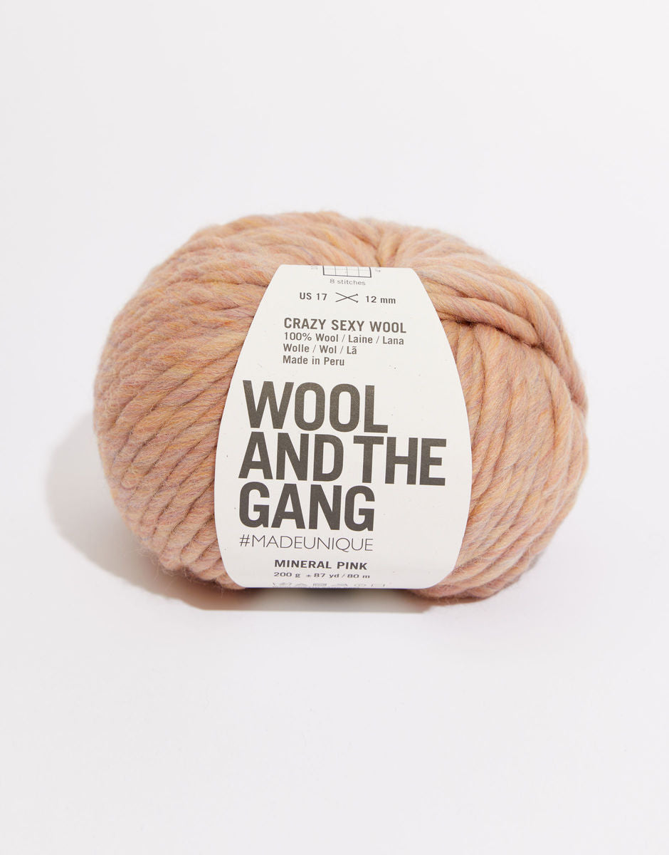 Wool and the Gang Crazy Sexy Wool