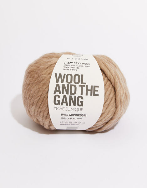 Wool and the Gang Crazy Sexy Wool
