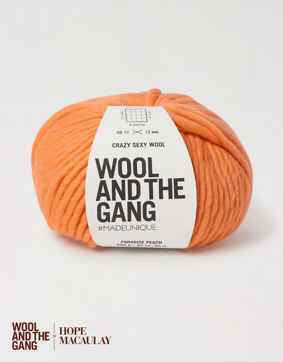 Wool and the Gang Crazy Sexy Wool