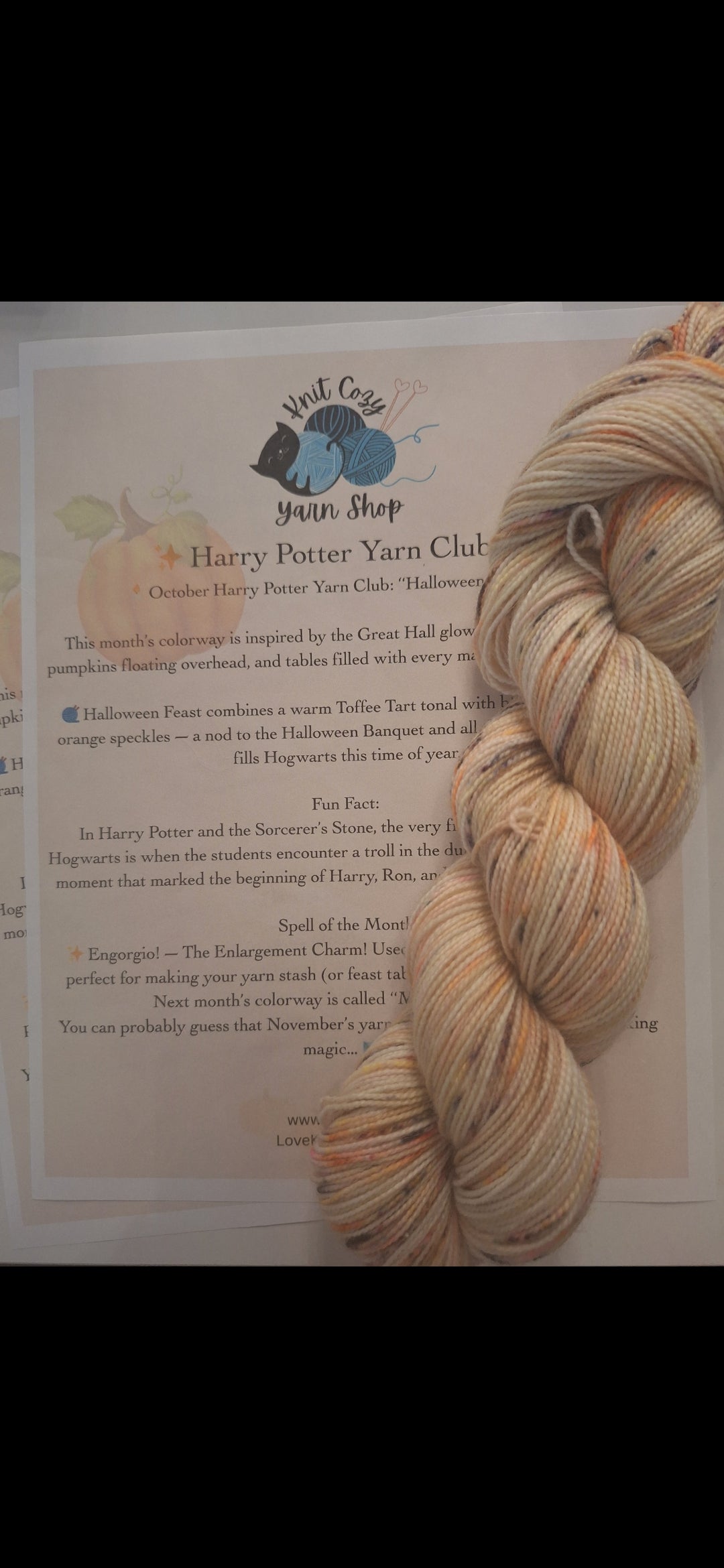 Harry Potter Yarn Club - One Month